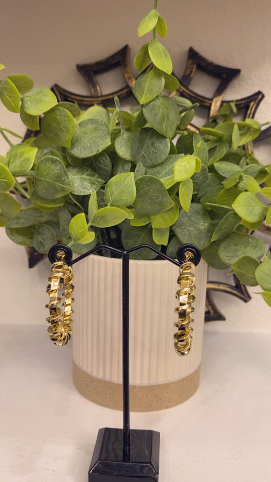 Gold laminated Earrings (14K)